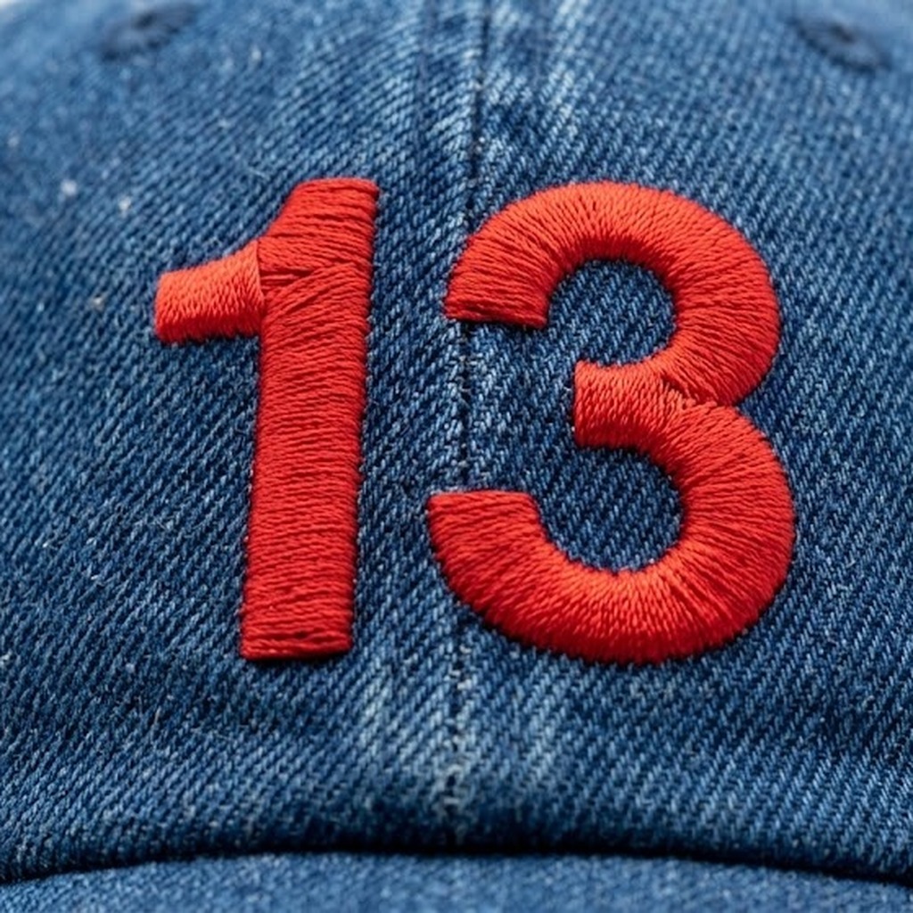 Embroidered Snapback 3